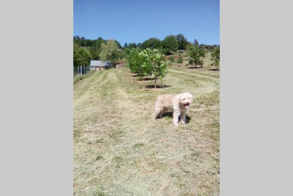 Вілла La Truffiere Castelnau-de-Mandailles Екстер'єр фото